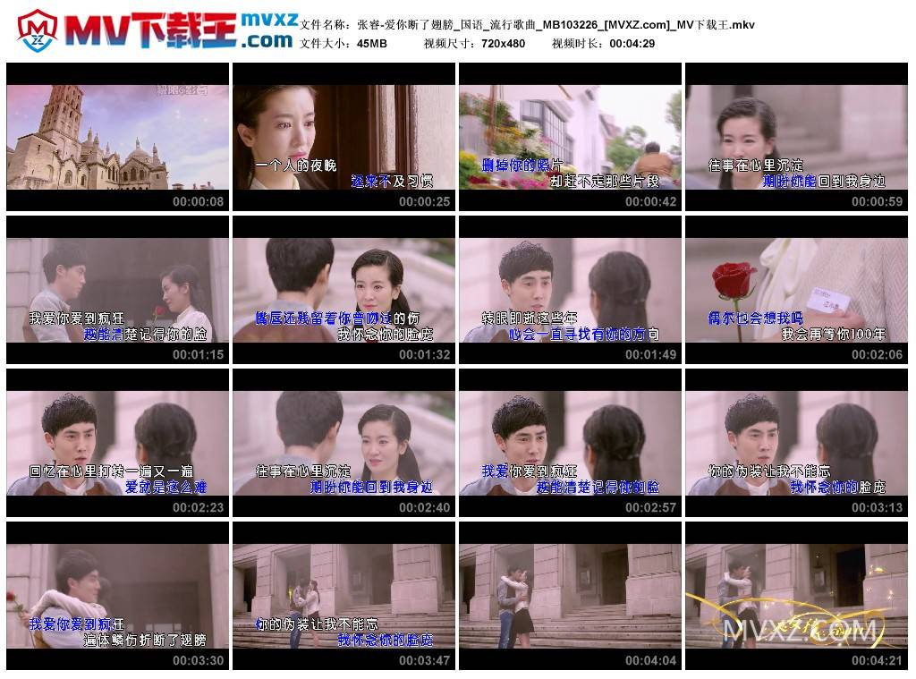 张睿-爱你断了翅膀_国语_流行歌曲_MB103226